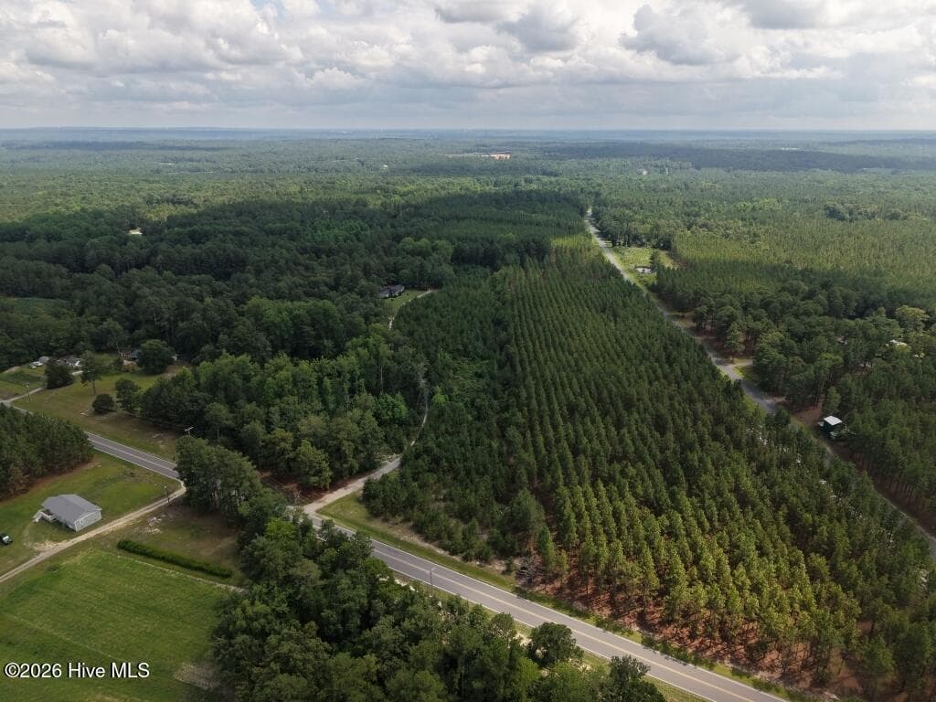 Residential Lot at 1581 Doubs Chapel Road, West End, NC 27376, photo 3 of 10