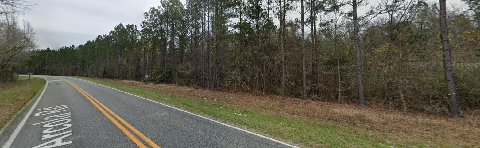 Undeveloped at 000 Arcola Road, Pembroke, GA 31321, photo 4 of 10