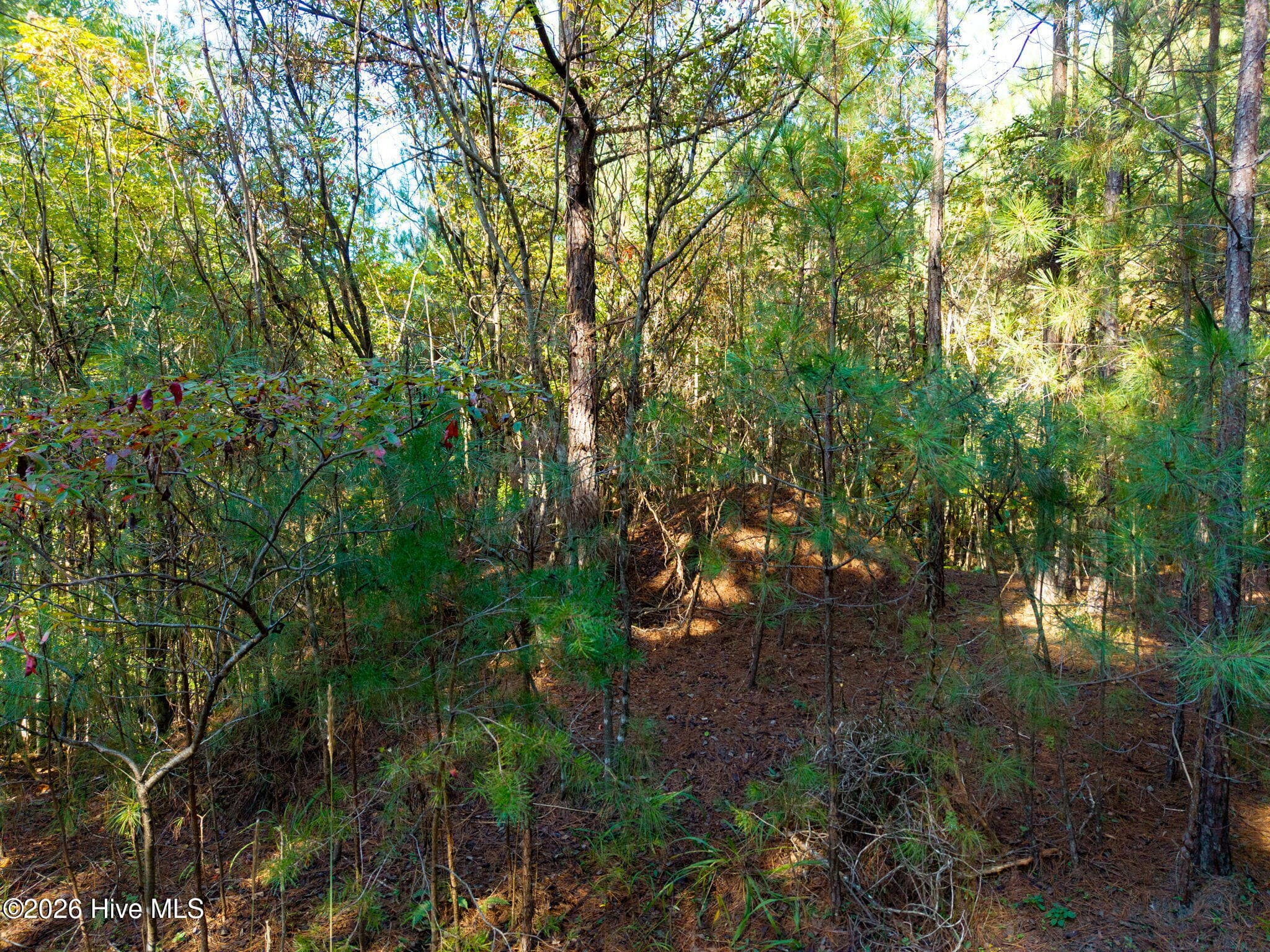 Residential Lot at Lot 11 Nature Trail, Murphy, NC 28906, photo 22 of 22