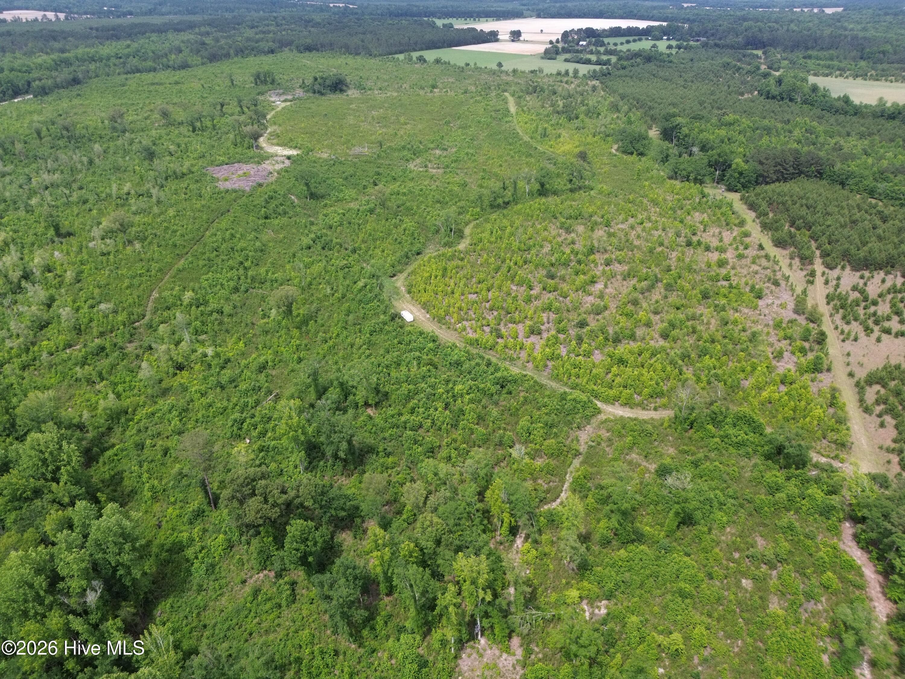 Undeveloped at 0 Pughsley Road, Stapleton, GA 30823, photo 7 of 13