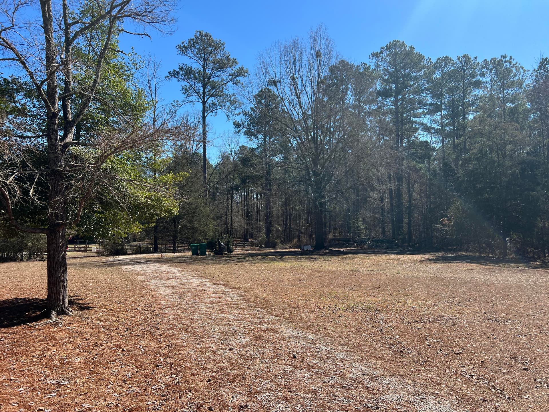 Residential Lot at 2369 Pine Ridge Drive, Appling, GA 30802, photo 4 of 9