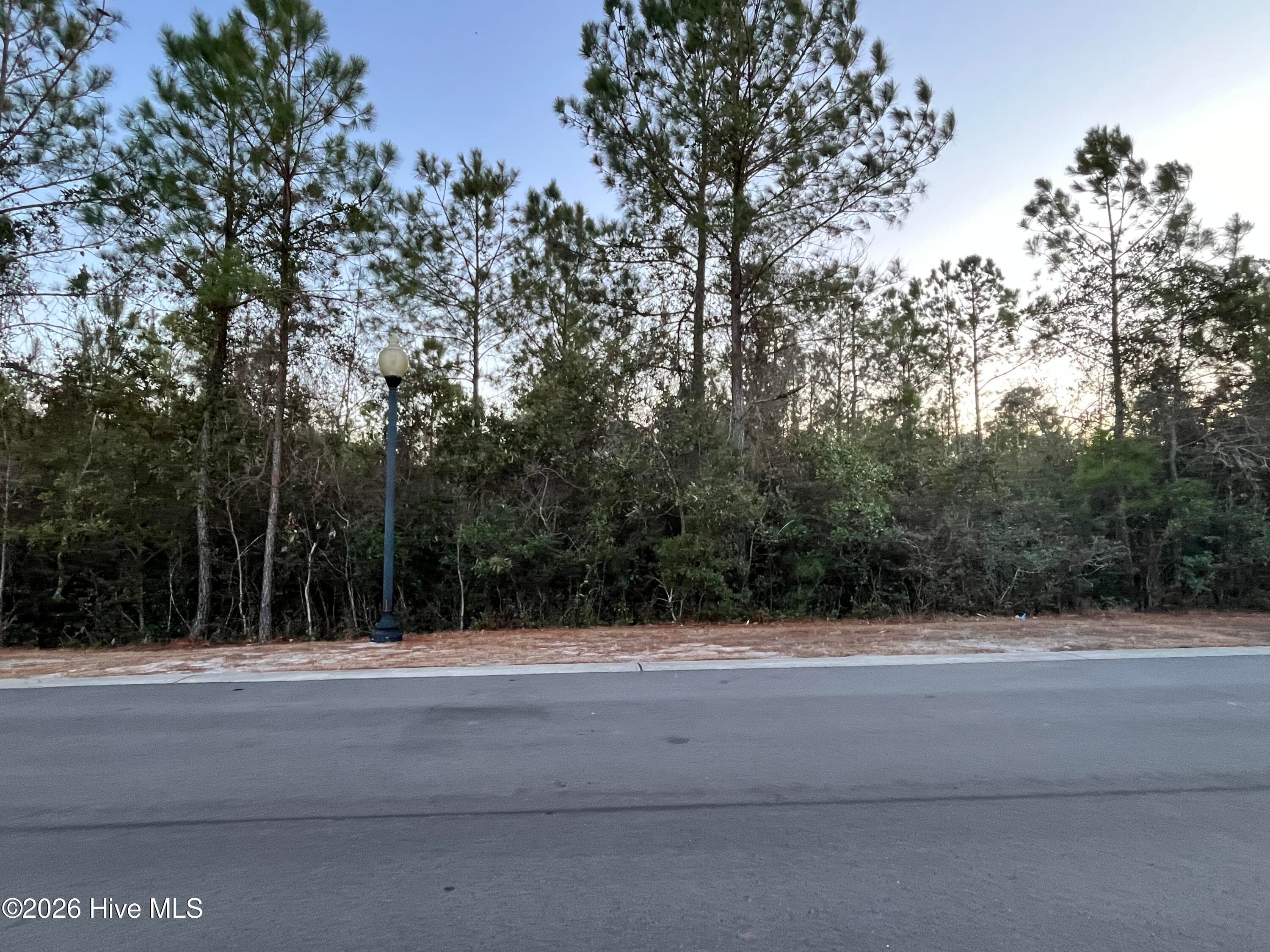 Residential Lot at 2957 Old Berwick Street SW, Shallotte, NC 28470, photo 2 of 4