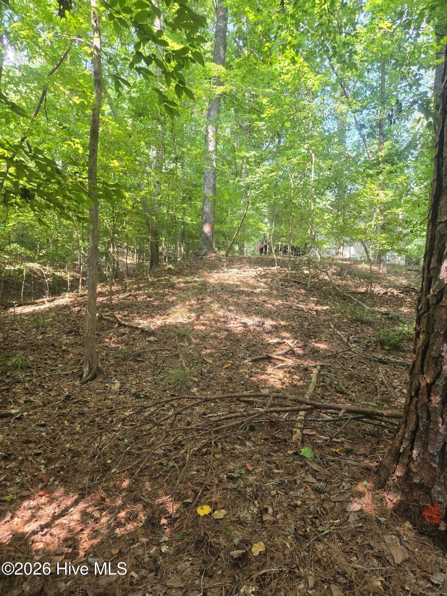 Residential Lot at Lot 12 Fishing Creek Estates Road, Lincolnton, GA 30817, photo 4 of 8