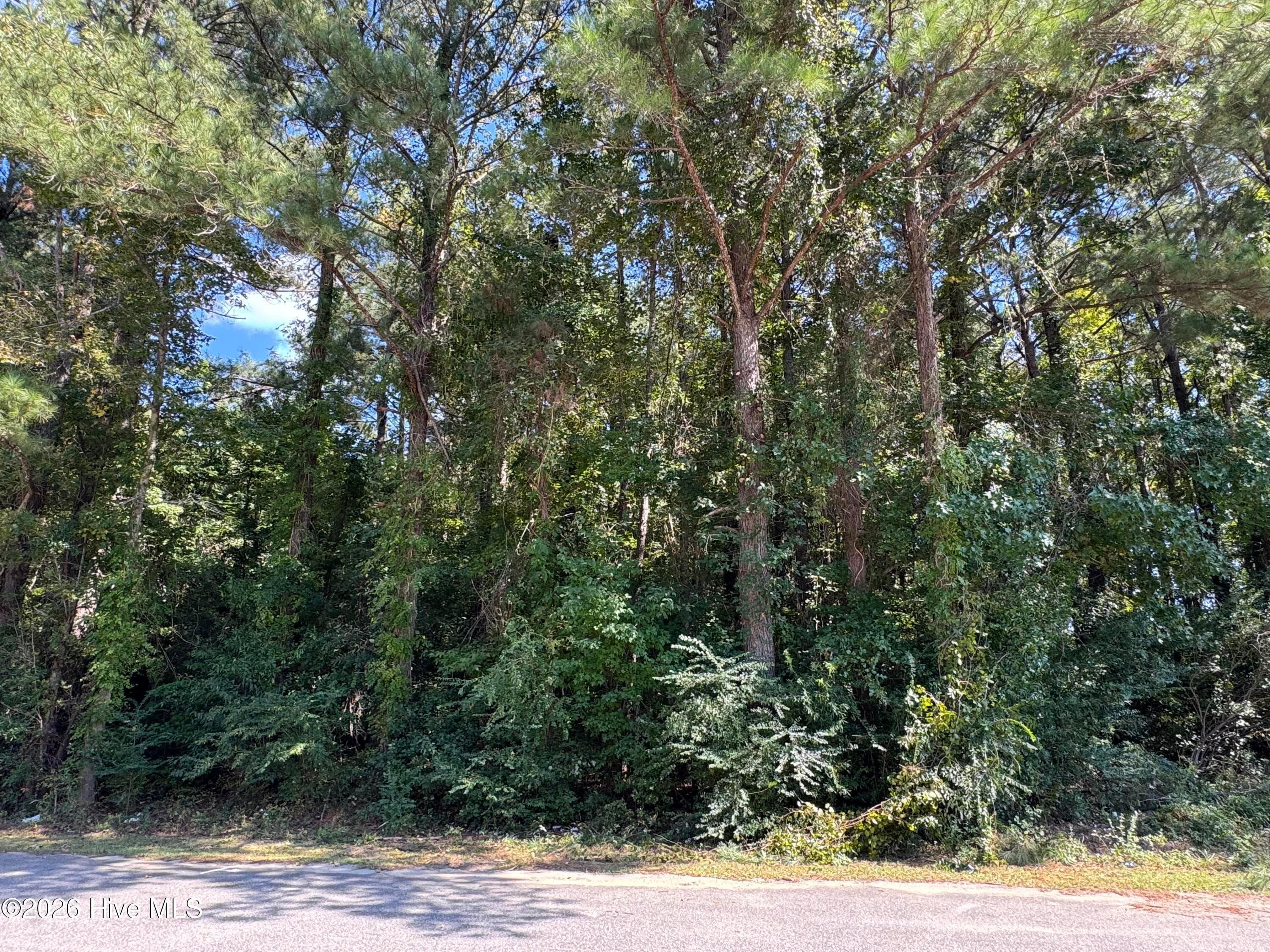 Near 90 33,34,35 Honey Hill Drive, Hallsboro, NC 28442
