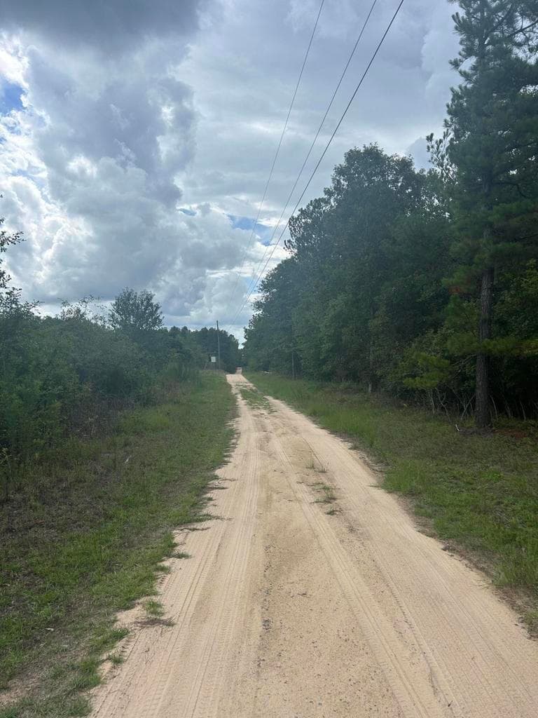 Undeveloped at Tbd Johnston Highway, Trenton, SC 29847, photo 6 of 7