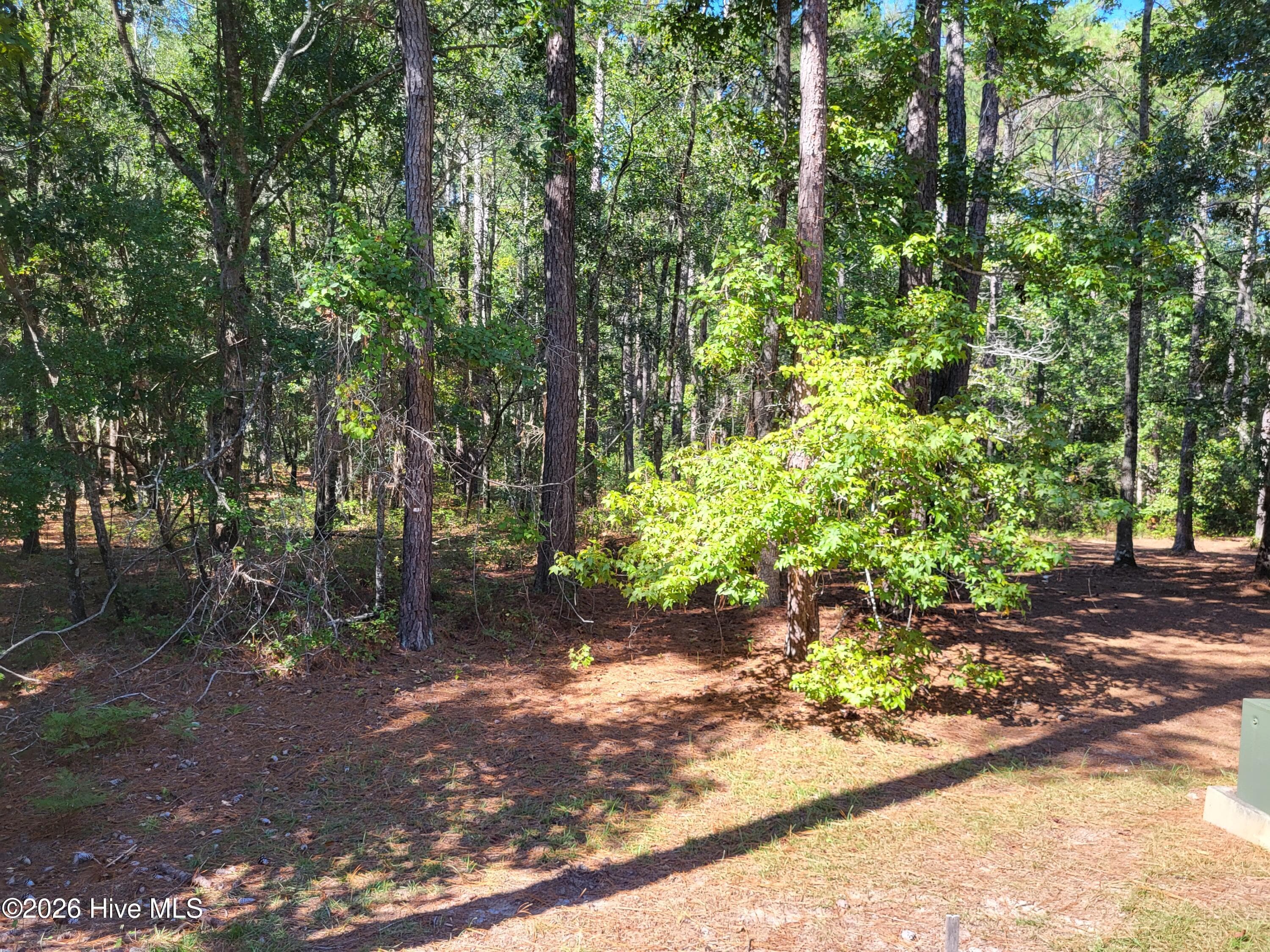 Driveway entrance to property - 538 Lindgrove Place SW, Ocean Isle Beach, NC 28469