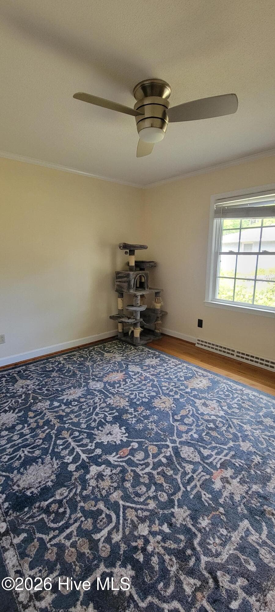 Bedroom 3 - 110 Landon Drive, Washington, NC 27889