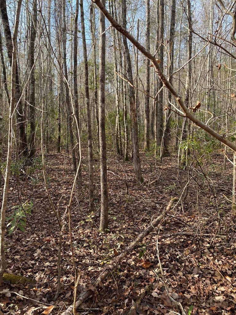 Residential Lot at Lot 14 14 Robin Boulevard, Swainsboro, GA 30401, photo 4 of 8