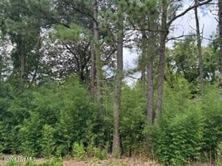 Undeveloped at 1298 3 Moores Chapel Road, Lillington, NC 27546, photo 5 of 5
