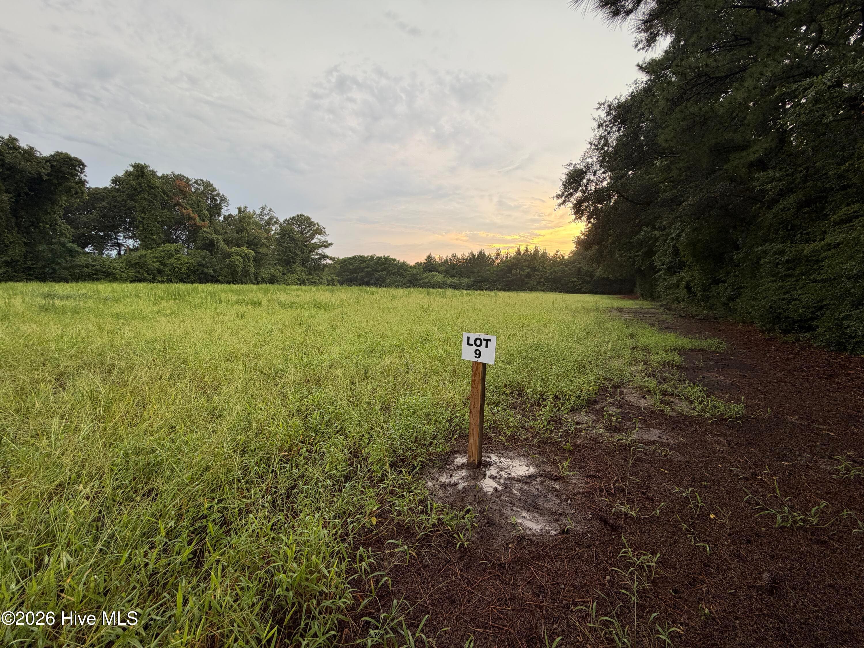 Residential Lot at Lot 9 Point Caswell Road, Willard, NC 28478, photo 12 of 12