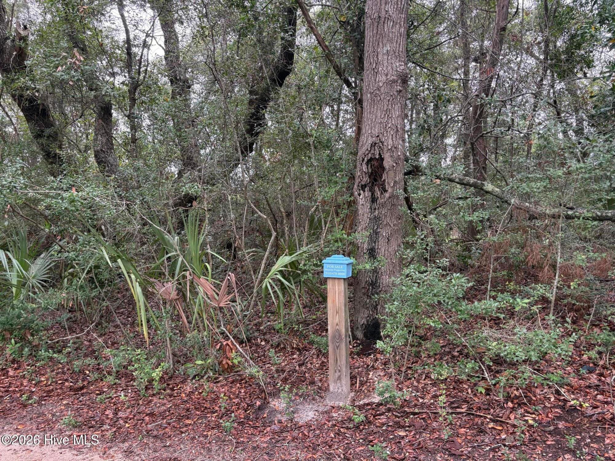 Residential Lot at 107 958 Edward Teach Wynd, Bald Head Island, NC 28461, photo 13 of 13