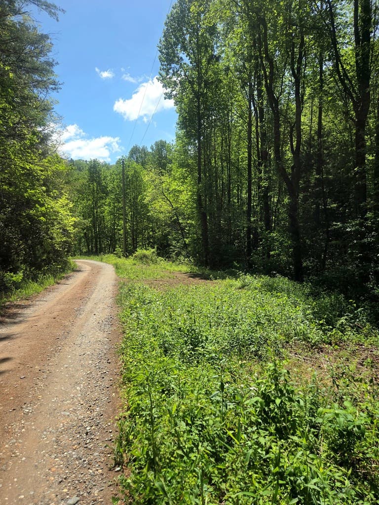 Undeveloped at 00 Vincent Colvin Road, Robbinsville, NC 28771, photo 3 of 18