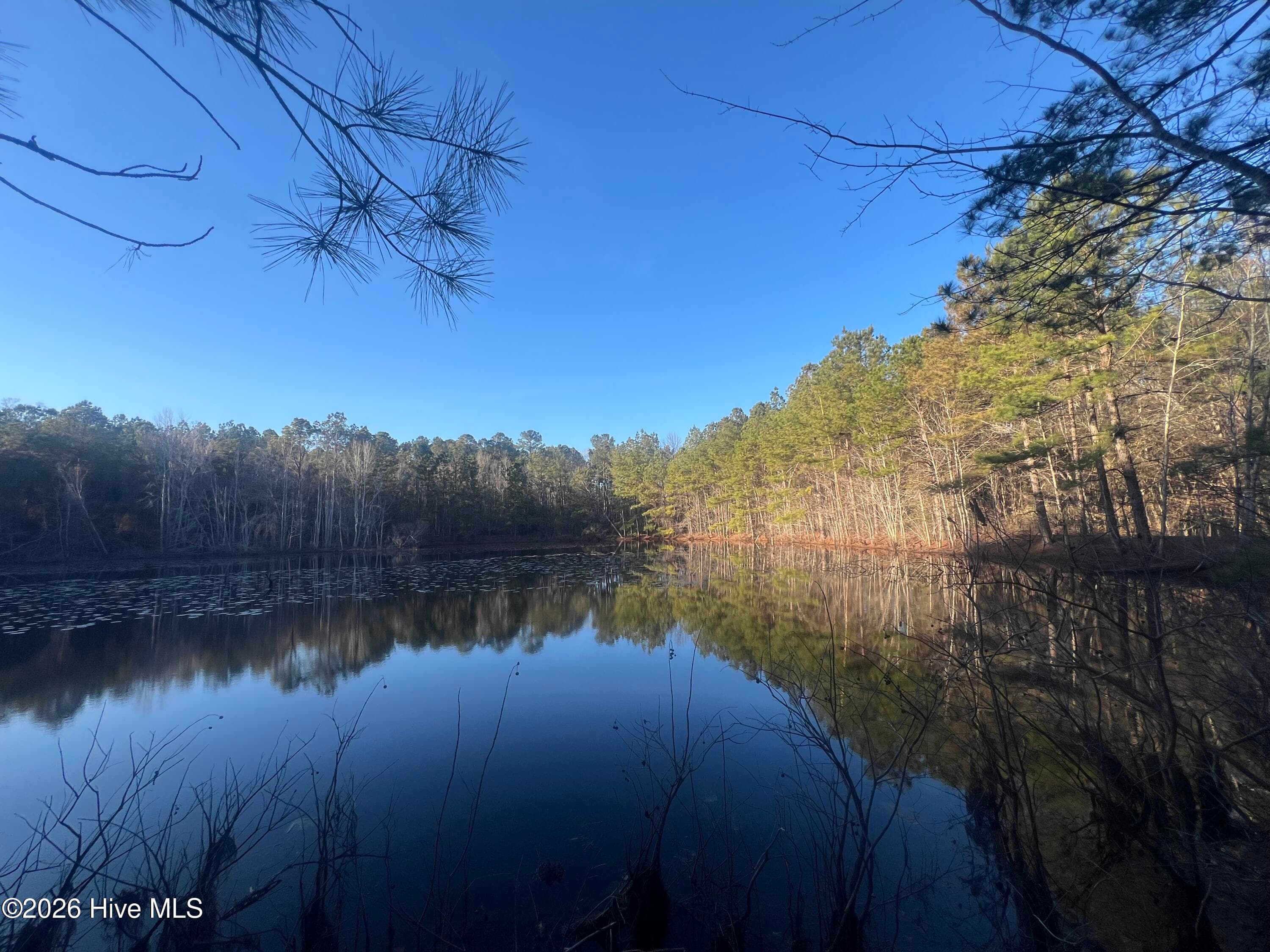 Undeveloped at 22701 Highway 129, Cobbtown, GA 30420, photo 10 of 10