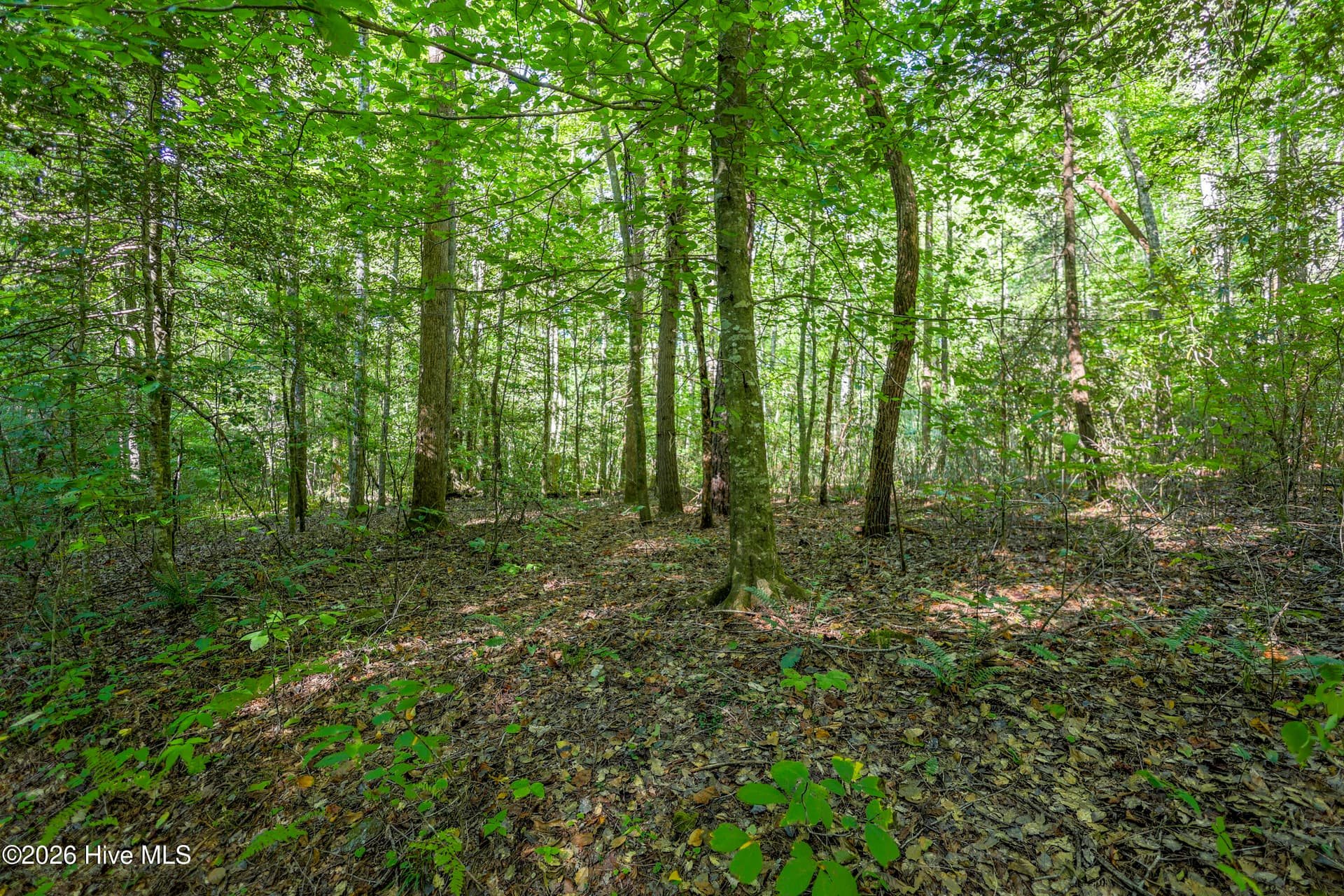 Wooded at 90 Ac Tree House Road, Andrews, NC 28901, photo 11 of 19