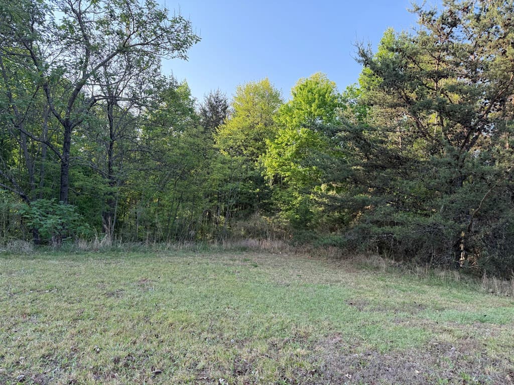 Land at Lot #20 20 Yellow Maple Drive, Murphy, NC 28906, photo 7 of 14