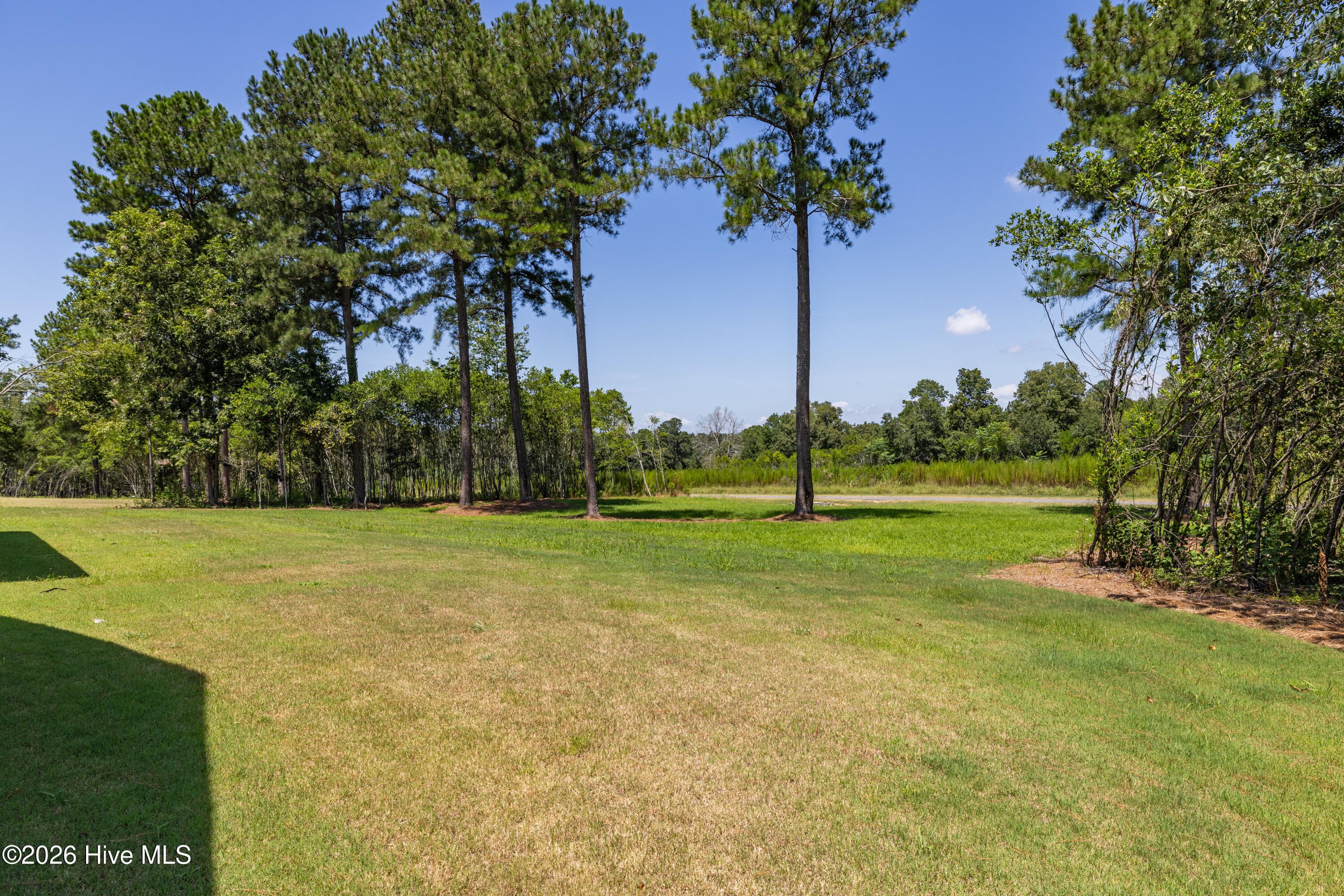 Mature trees - 1096 Bellingham Drive, Beech Island, SC 29842