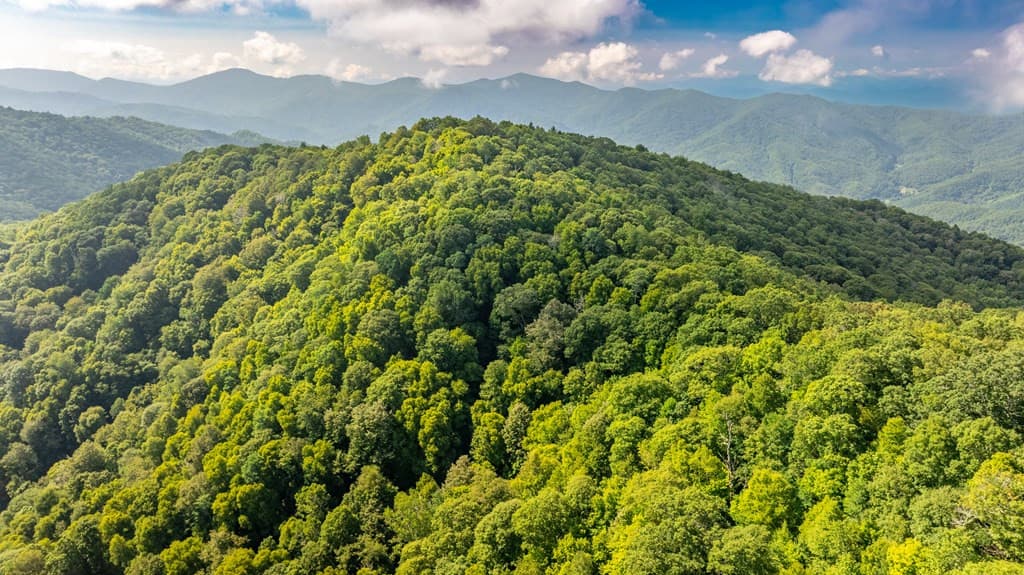 Land at 00 E Alarka Road, Bryson City, NC 28713, photo 11 of 28