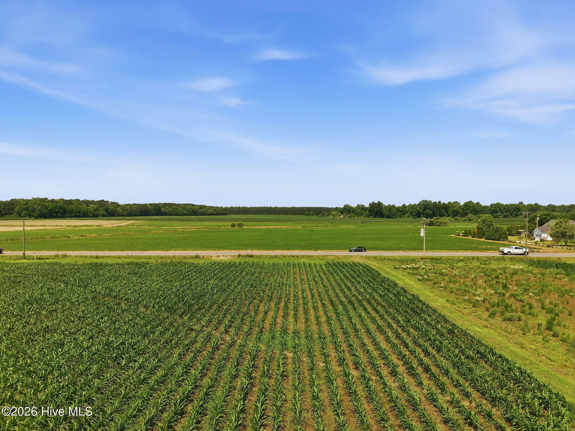 Agriculture at 1795 1825 Highway 58 S, Kinston, NC 28501, photo 6 of 17