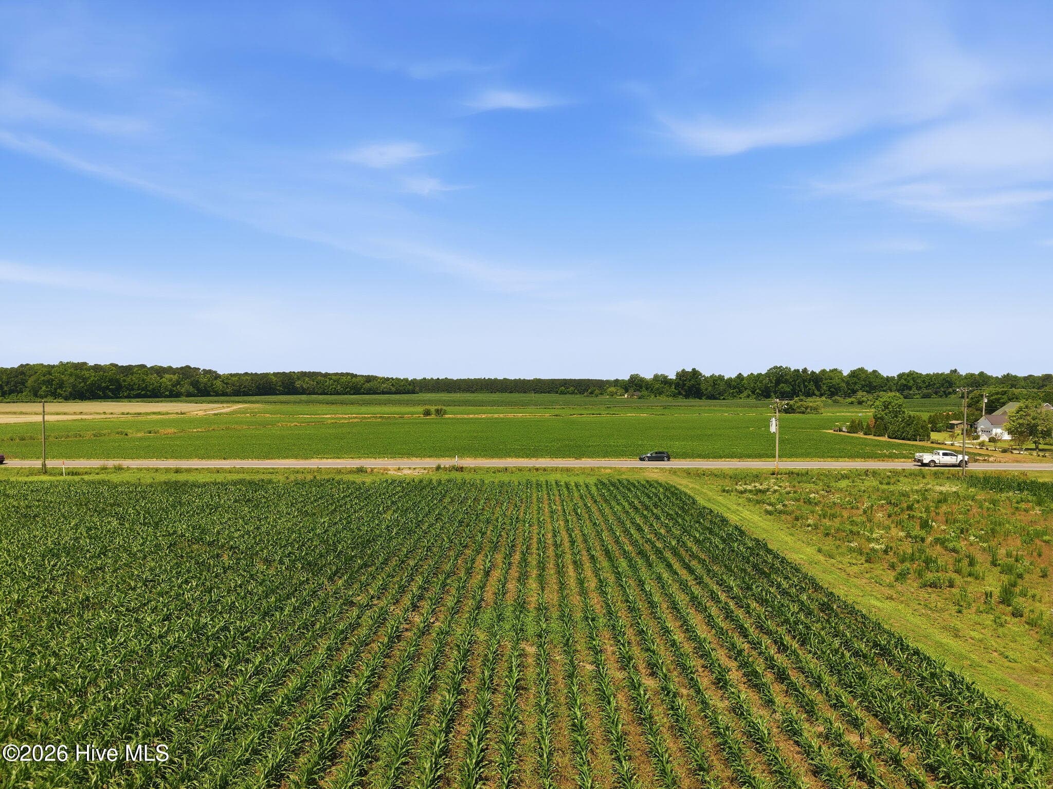 Agriculture at 1795 1825 Highway 58 S, Kinston, NC 28501, photo 6 of 17