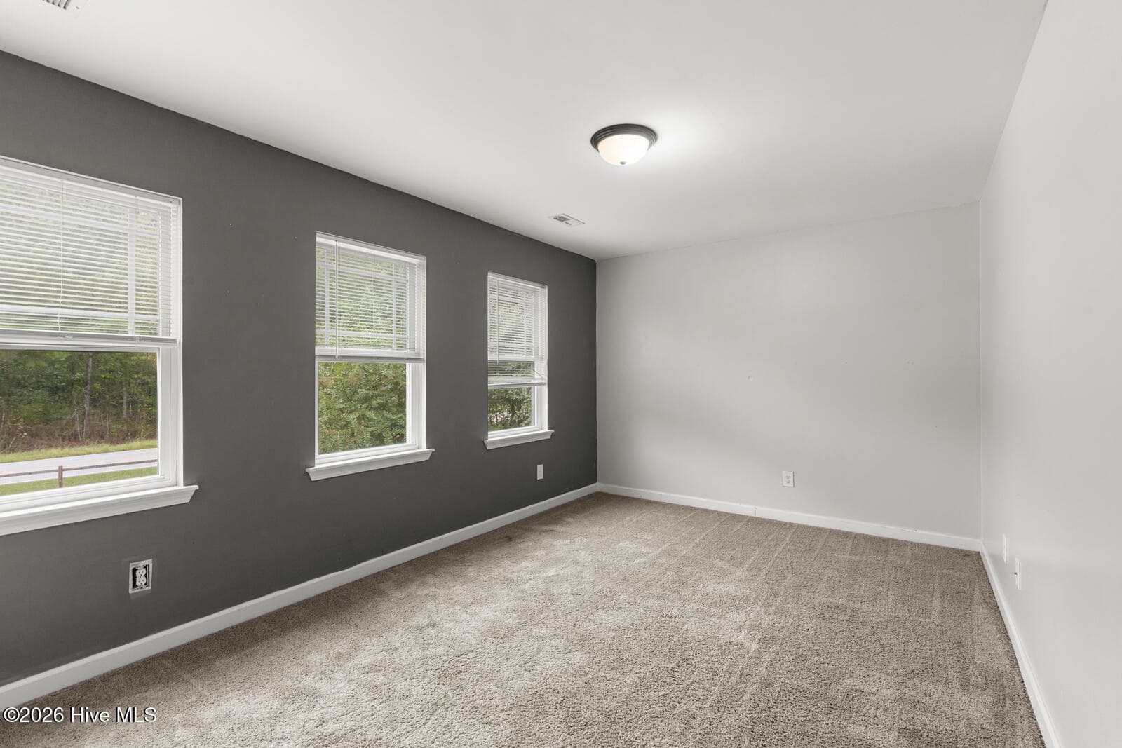 Single Family Residence at 384 Union Chapel Church Road, Richlands, NC 28574, photo 24 of 40