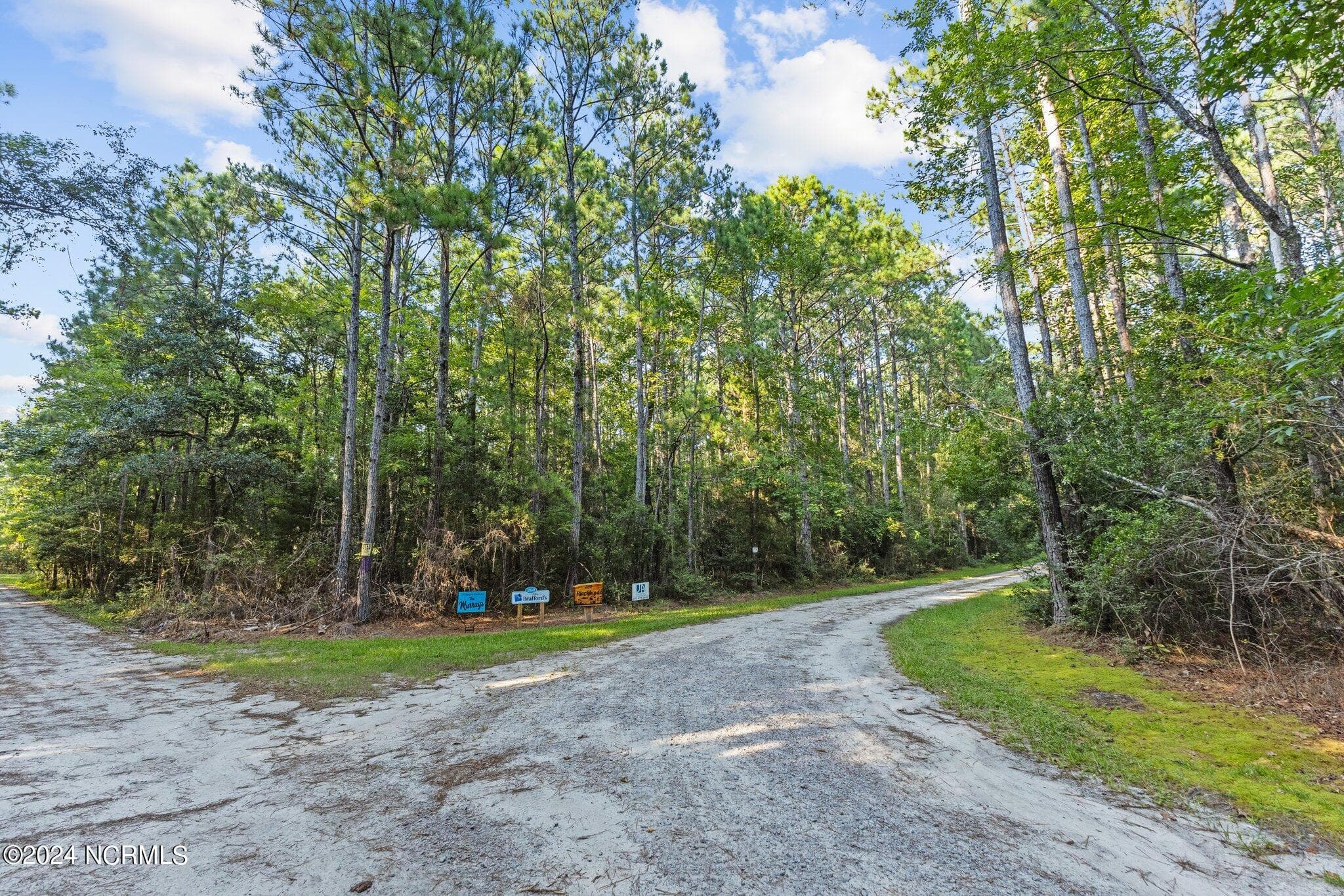 Residential Lot at 280 Donnie Davis Road, Williston, NC 28589, photo 7 of 22