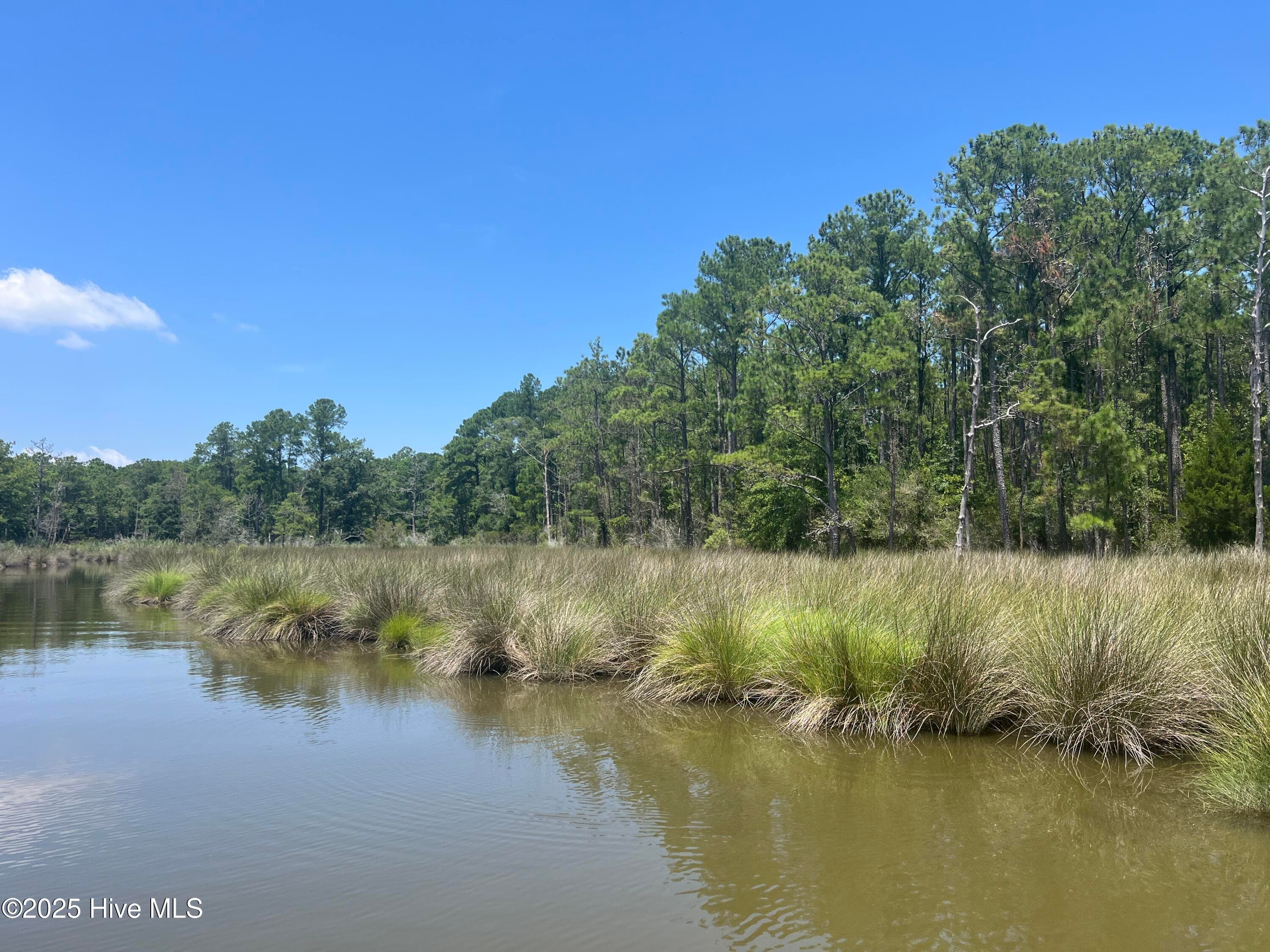 Residential Lot at 9918 Canady Landing Road, Aurora, NC 27806, photo 8 of 12