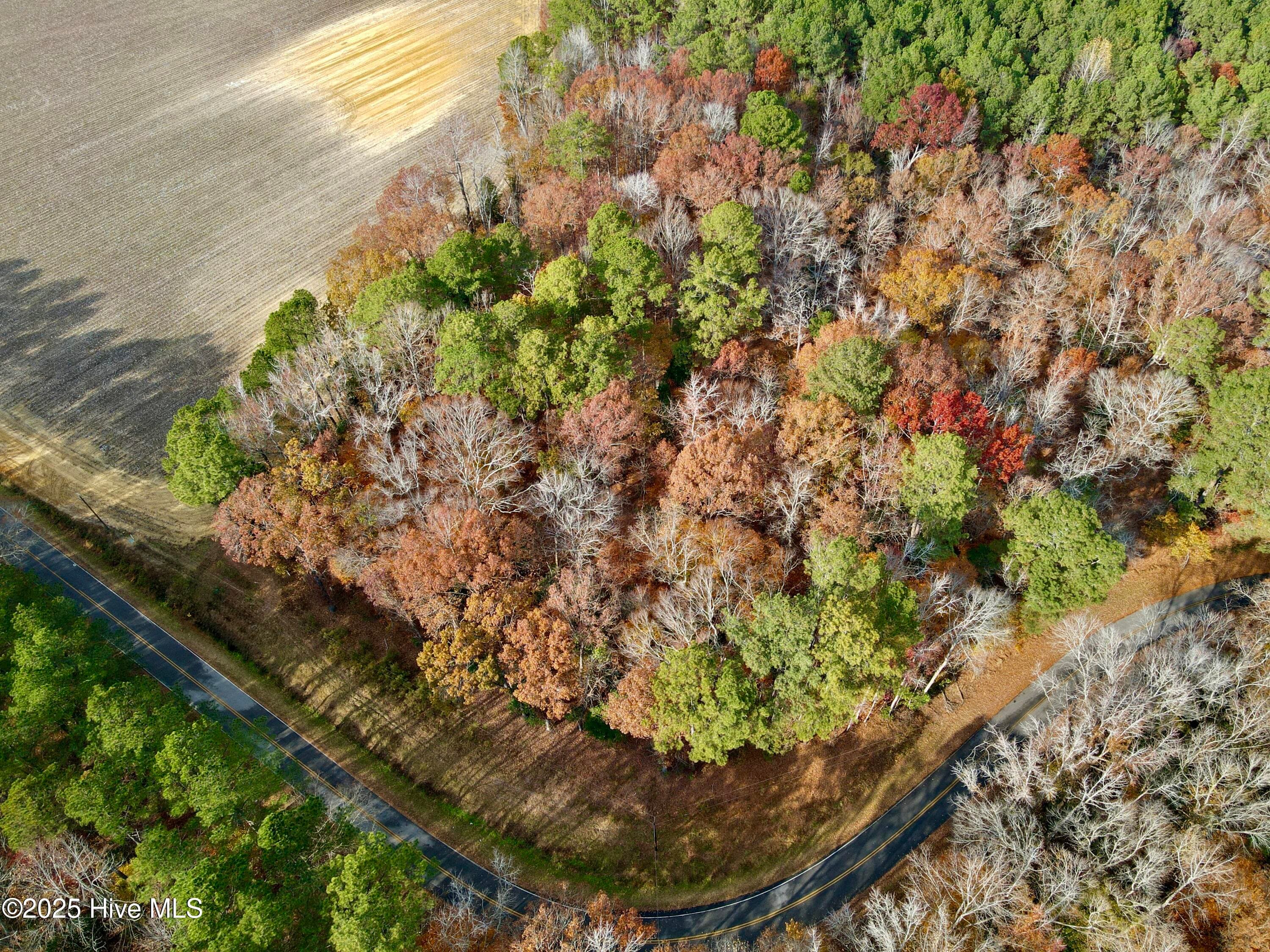 Wooded at 0 Williams Road, Williamston, NC 27892, photo 4 of 16