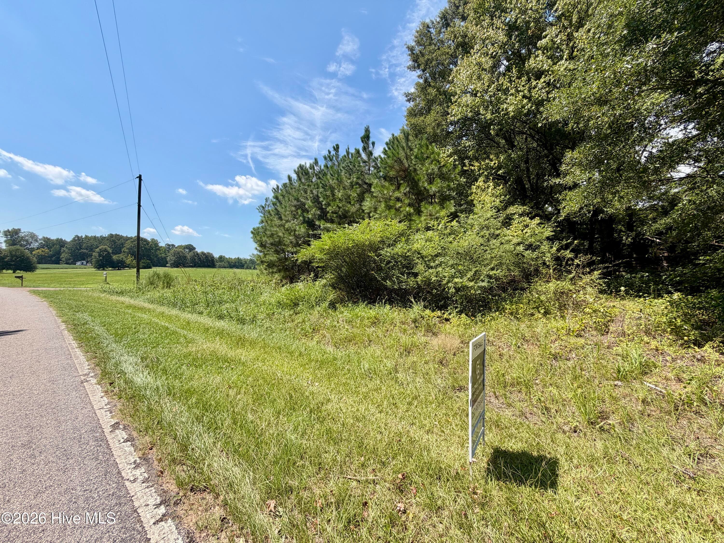 Undeveloped at 000 Mt Zion Church Road, Nashville, NC 27856, photo 5 of 6