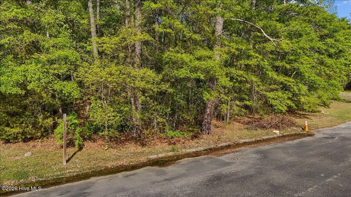 Retail at Lot 1 Biltmore Drive, Rockingham, NC 28379, photo 10 of 16