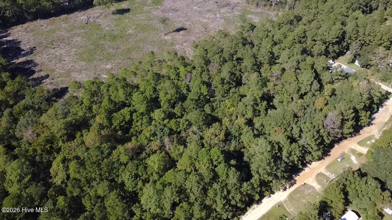 Undeveloped at Tbd Eastwind Drive SW, Supply, NC 28462, photo 2 of 5
