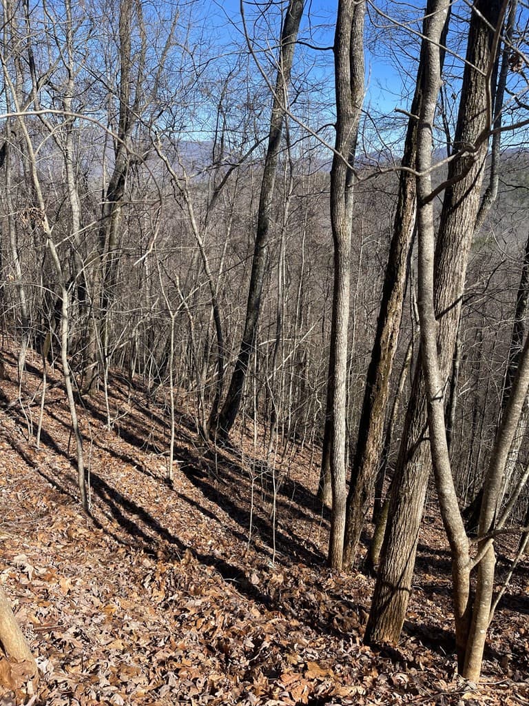 Residential Lot at Lot 68j 68J Grandview Drive, Hayesville, NC 28904, photo 3 of 5