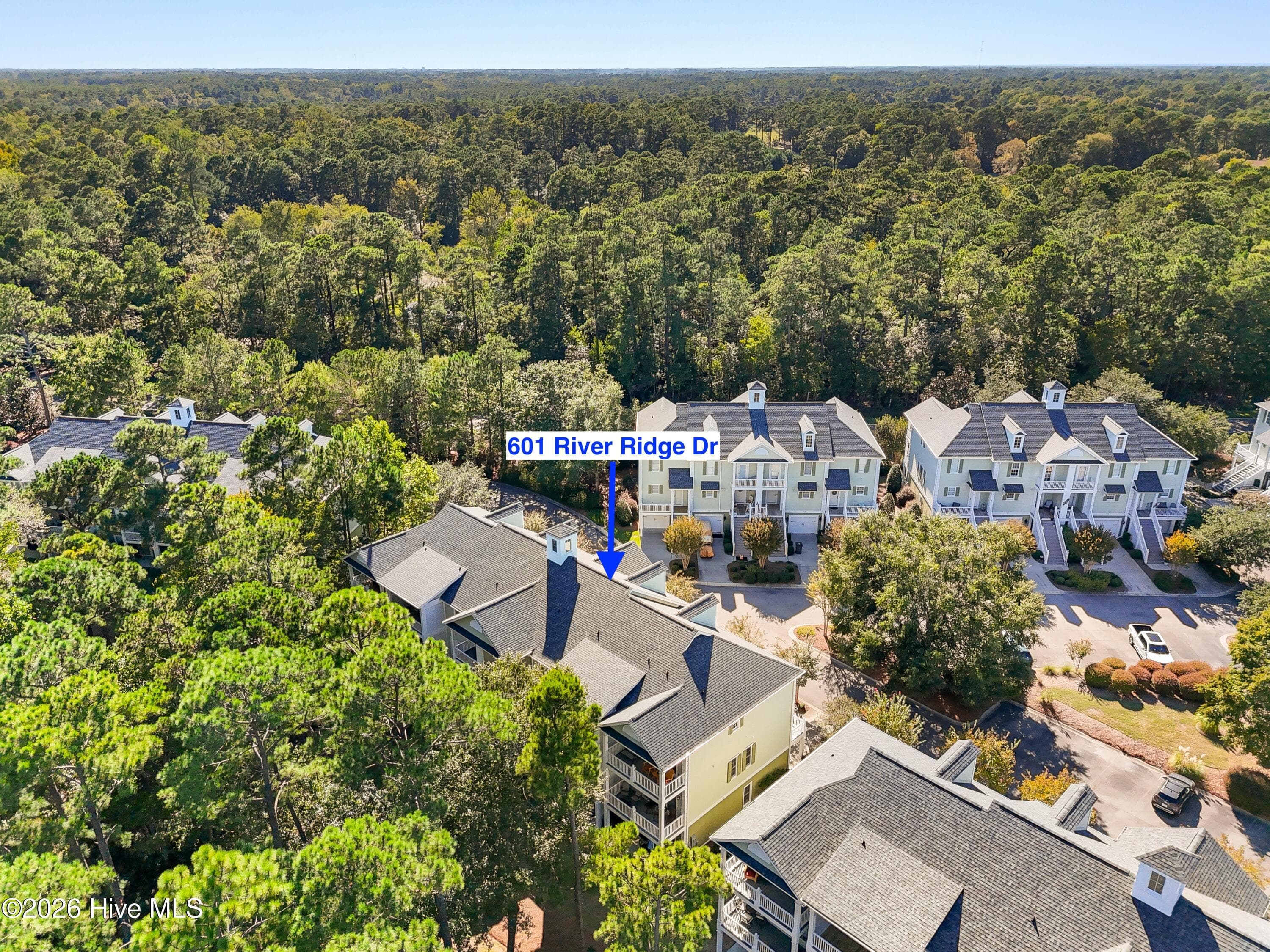 Townhouse at 601 River Ridge Drive Unit 3, Shallotte, NC 28470, photo 41 of 49