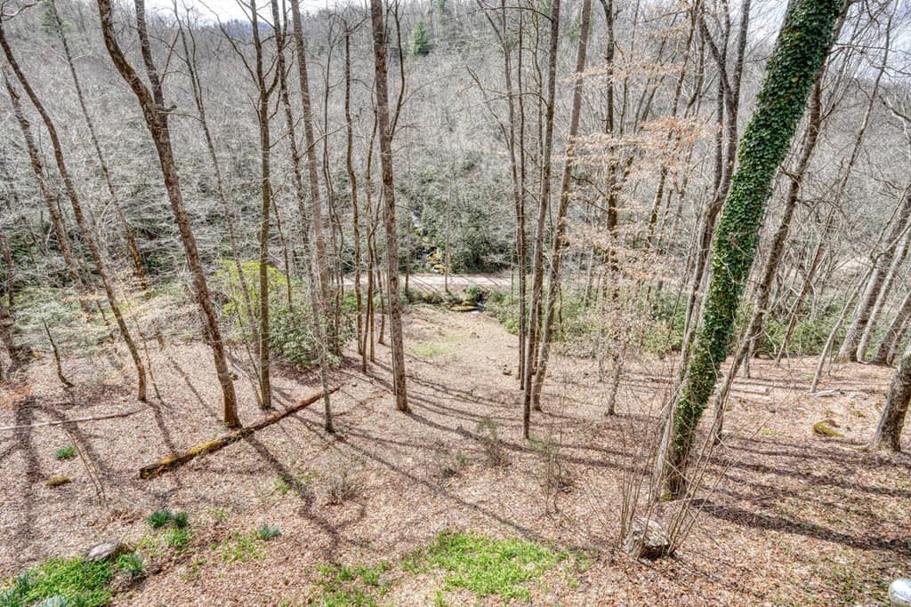 Residential at 575 Carolina Springs Lane, Franklin, NC 28734, photo 51 of 68