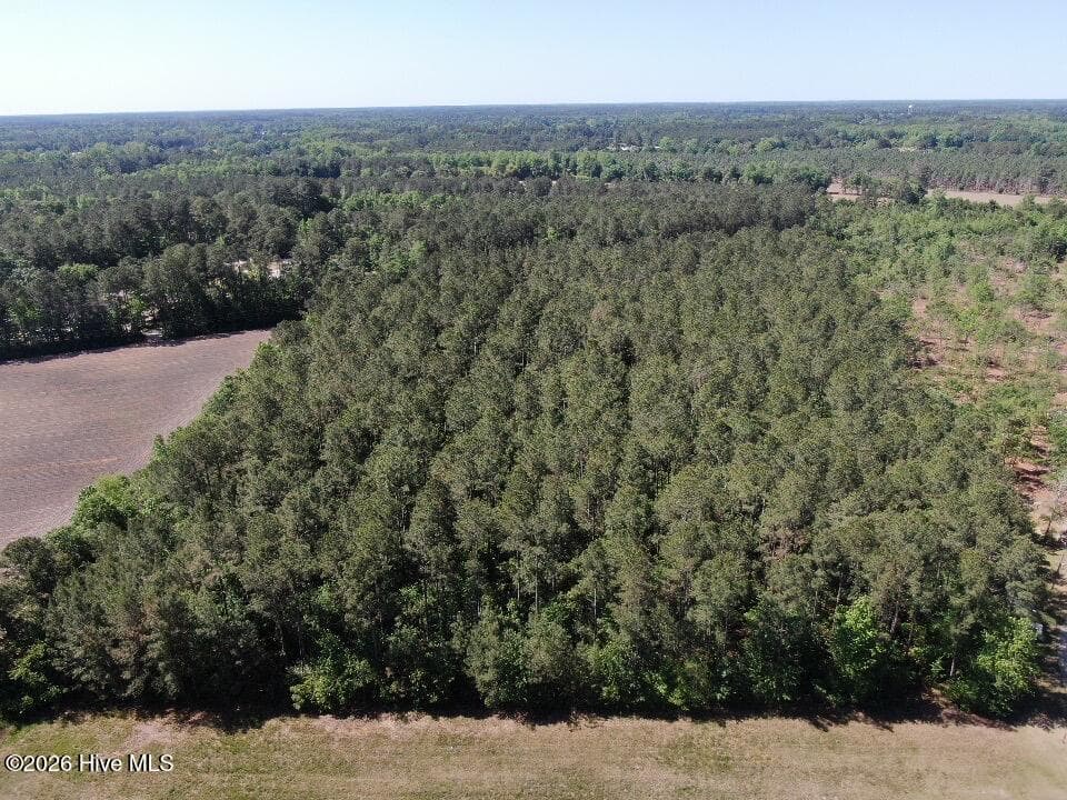 Wooded at 20.51 Acre Sweat Drive, Bladenboro, NC 28320, photo 2 of 16