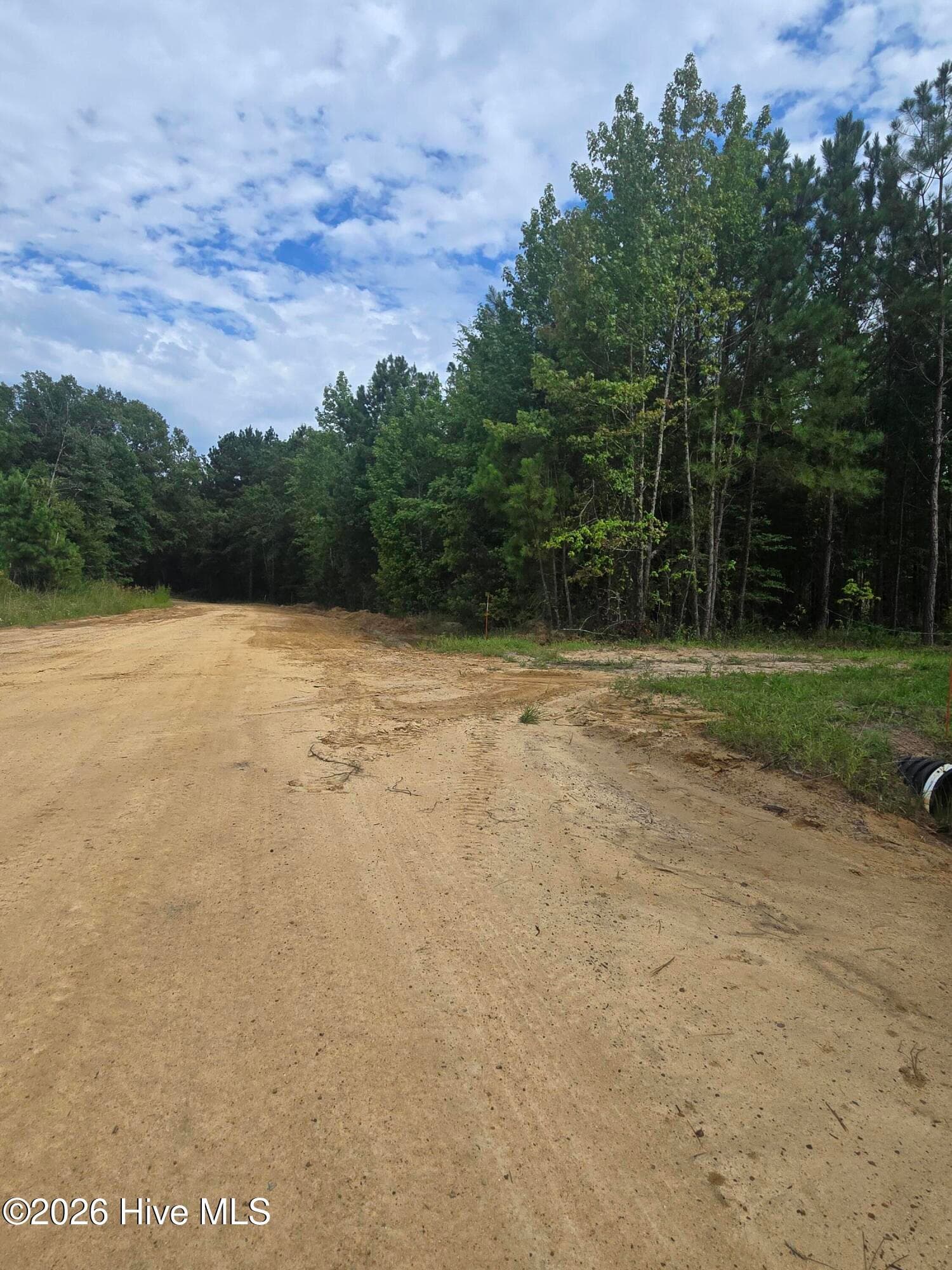 Residential Lot at 0 Netherland Road, Midville, GA 30441, photo 2 of 6