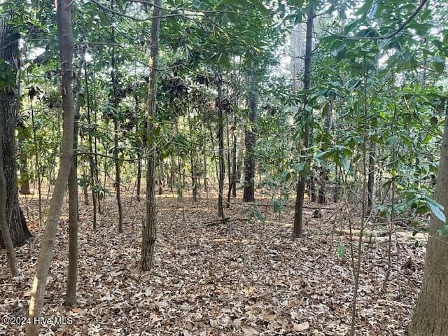 Wooded at 408 Lot 4, Block F, Lake Pines Drive, La Grange, NC 28551, photo 6 of 12