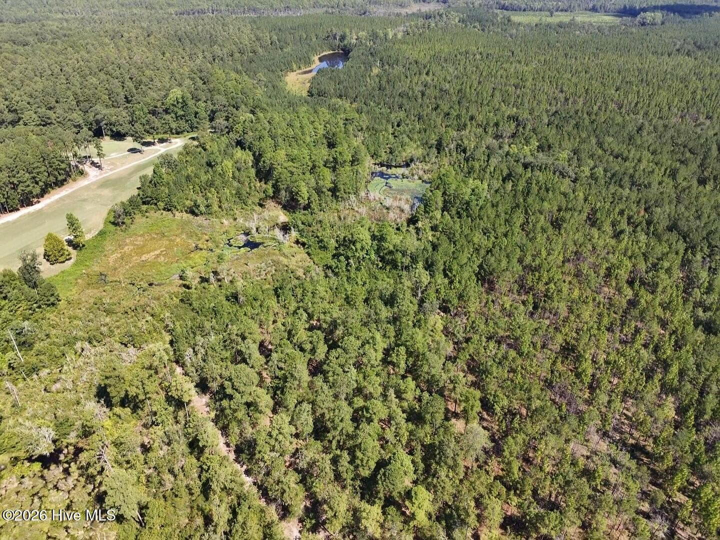 Residential Lot at Trt 11 Peach Orchard Road, Wagram, NC 28396, photo 5 of 7