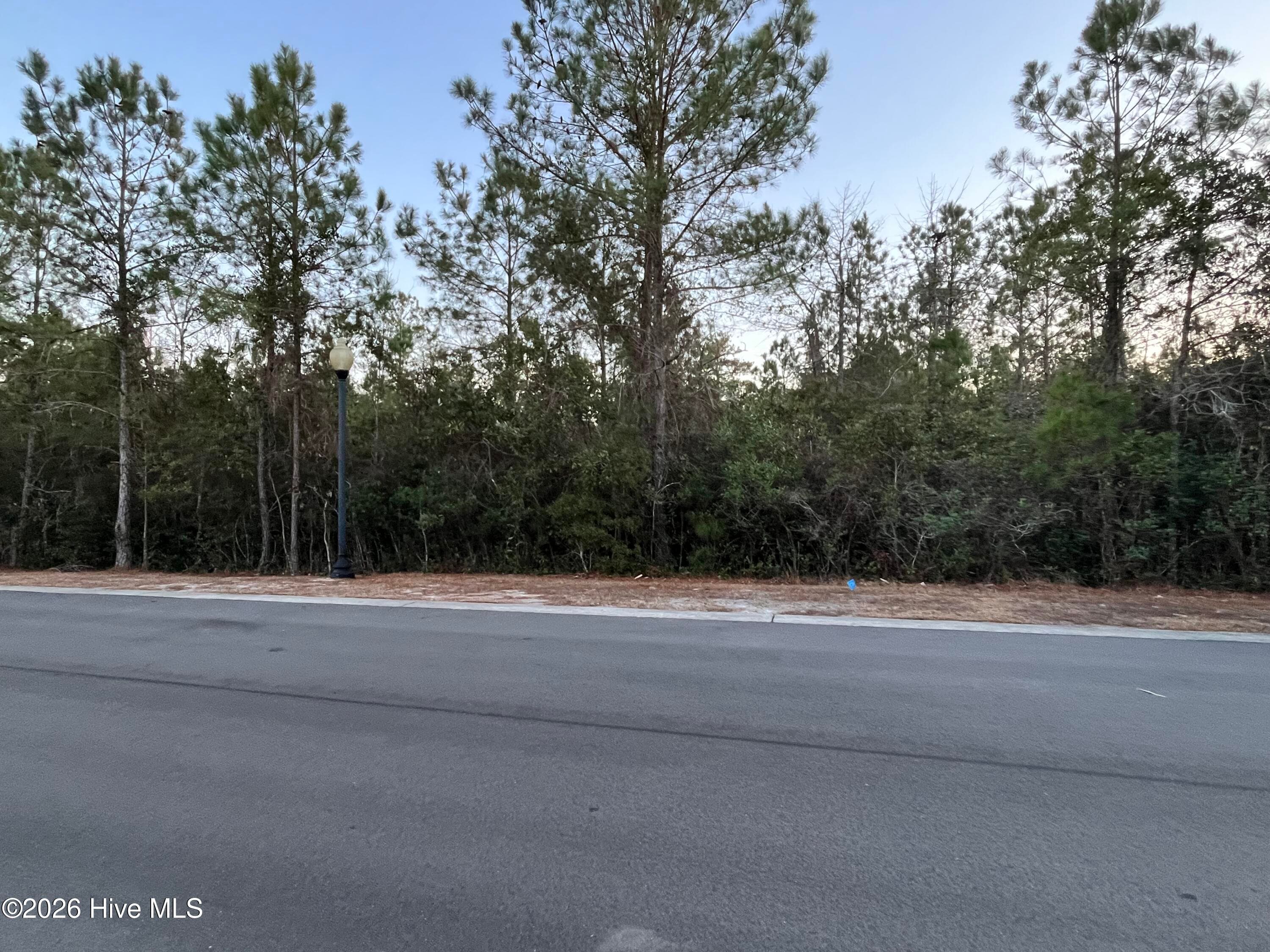 Residential Lot at 2957 Old Berwick Street SW, Shallotte, NC 28470, photo 3 of 4