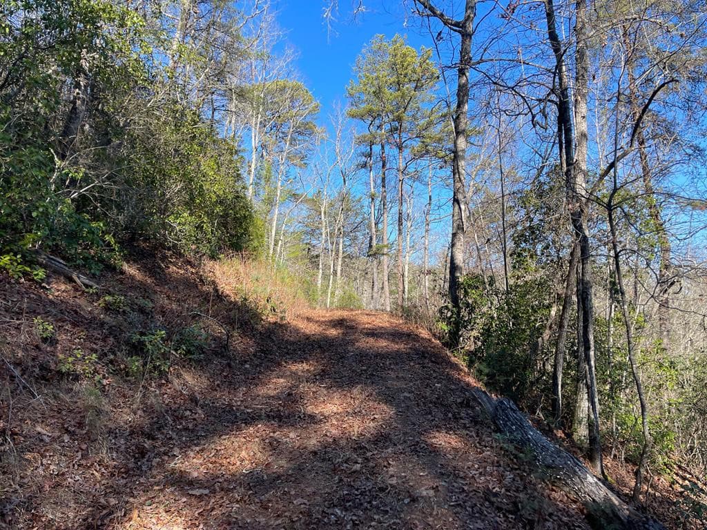 Land at 000 Mistletoe Ridge, Murphy, NC 28906, photo 25 of 26