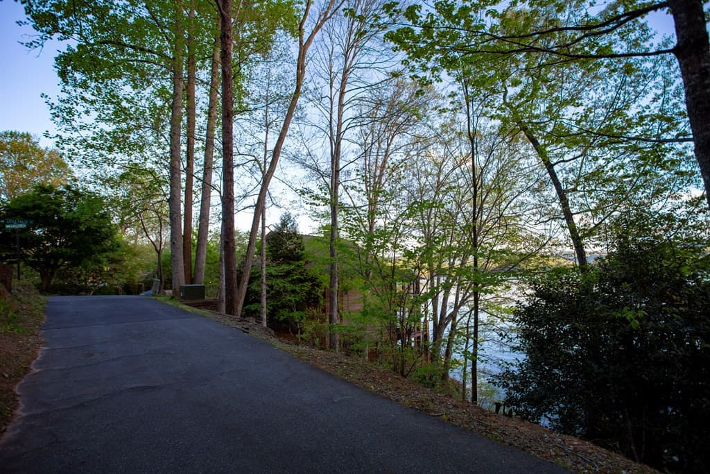 Land at 10 Santeetlah Lakeside, Robbinsville, NC 28771, photo 4 of 7