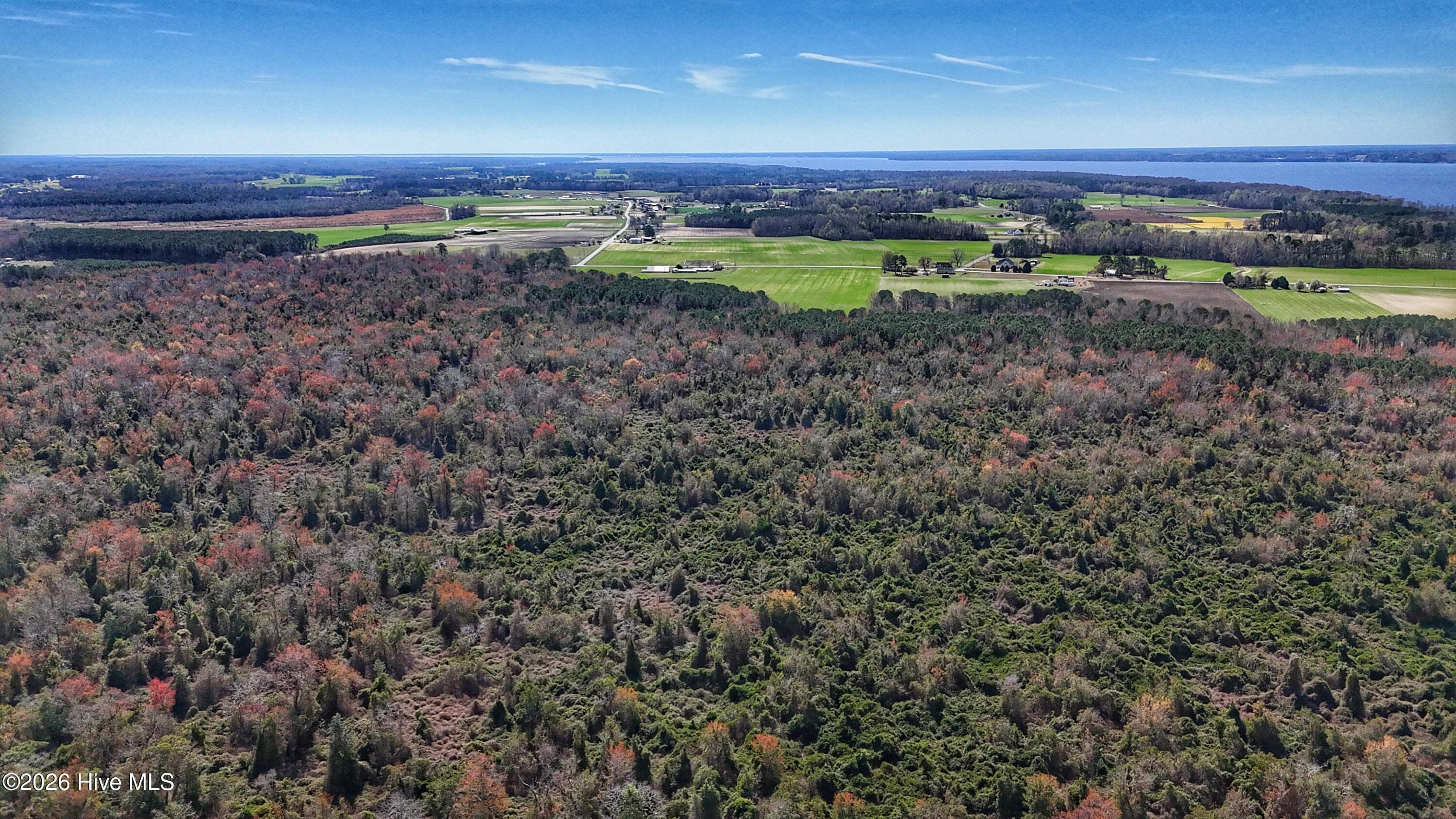 Wooded at 1612 Rocky Hock Landing Road, Edenton, NC 27932, photo 18 of 45