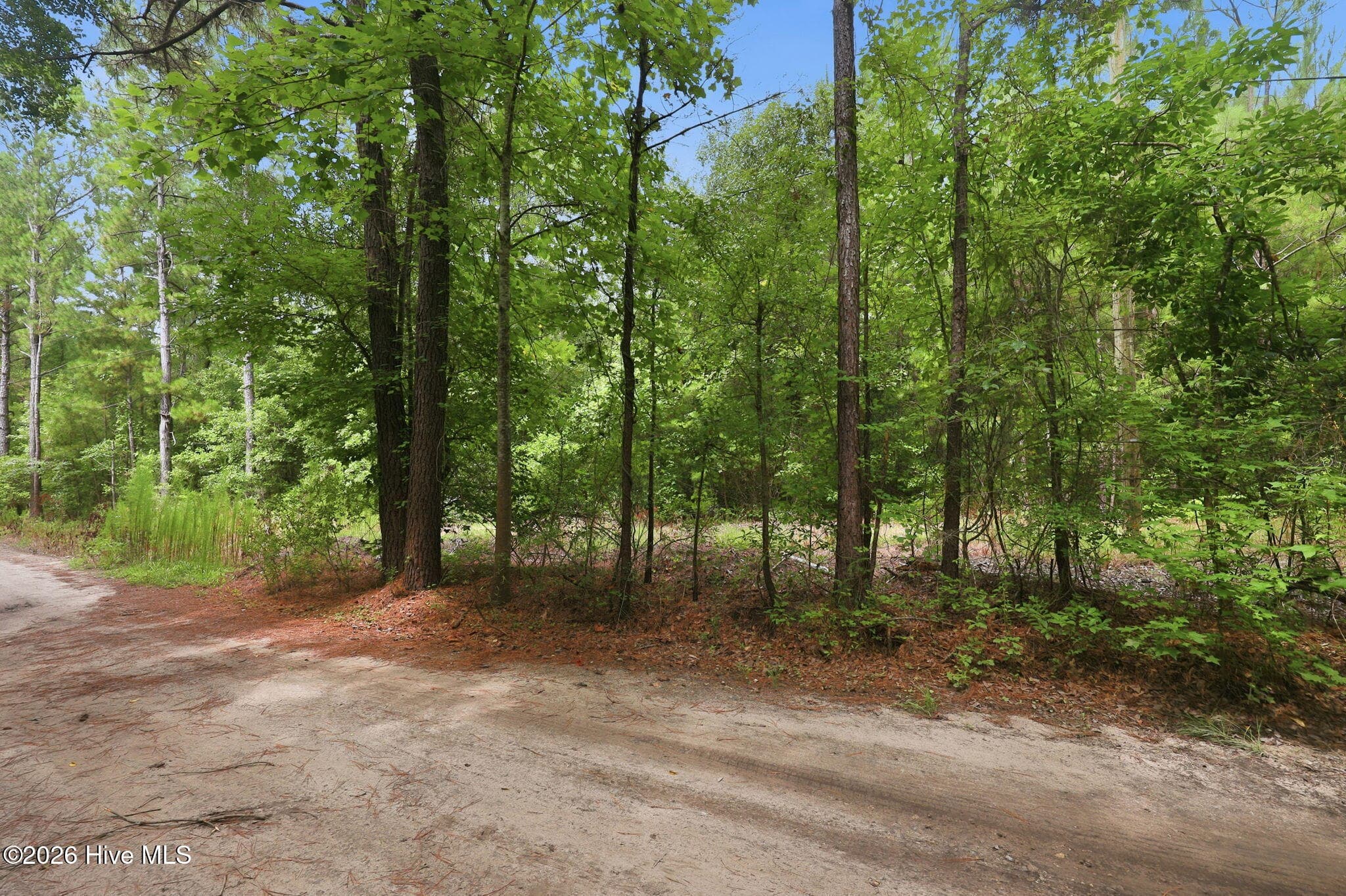 Undeveloped at 0 Copperhead Lane, Burgaw, NC 28425, photo 4 of 24