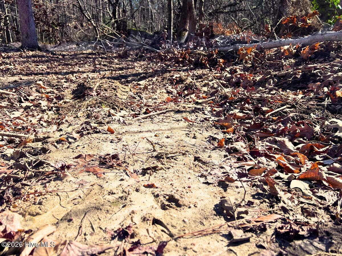 Residential Land at 0 Nc 98 Highway, Spring Hope, NC 27882, photo 16 of 39