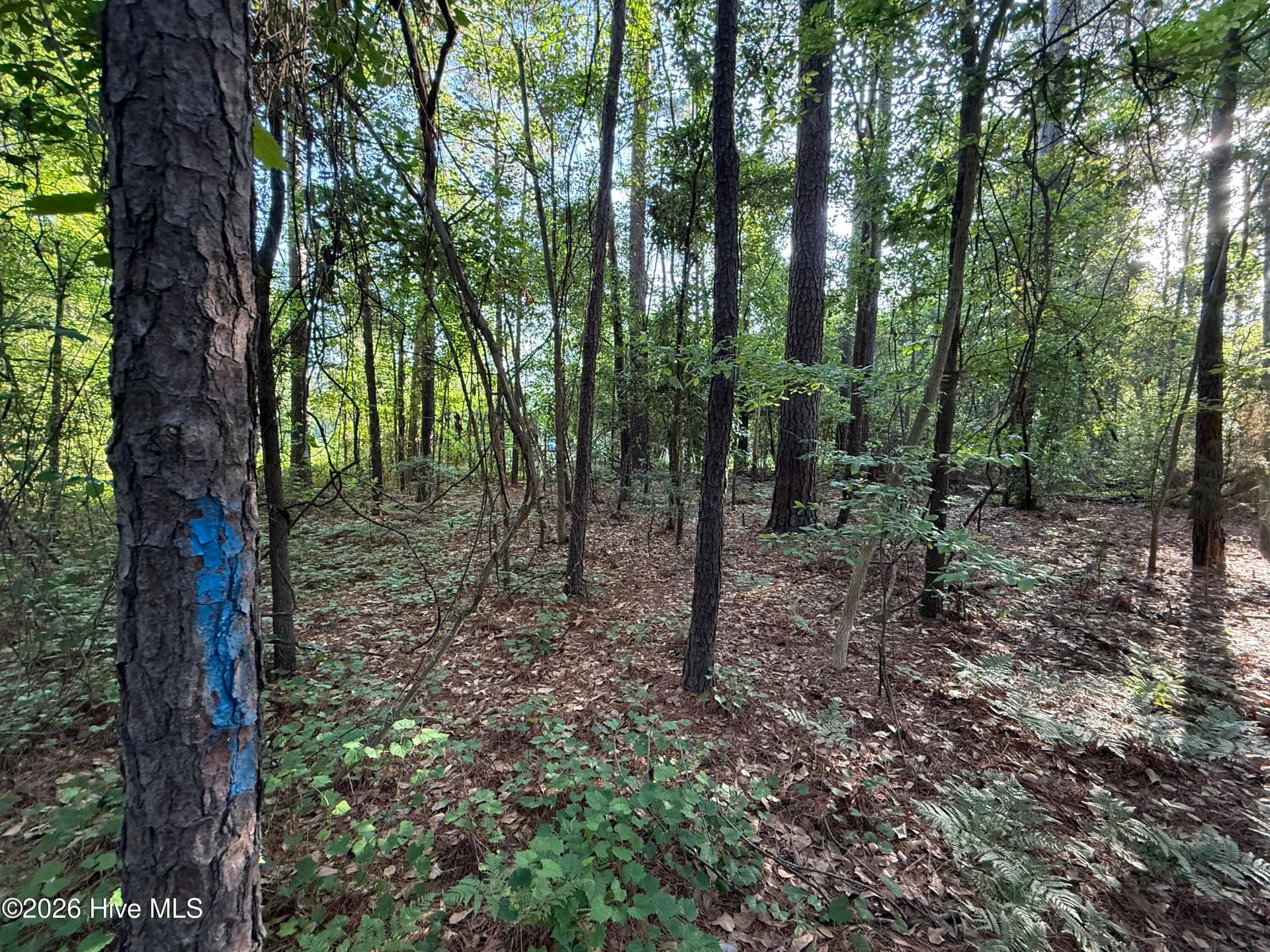 Residential Lot at 470 Acres Lane NW, Calabash, NC 28467, photo 13 of 19
