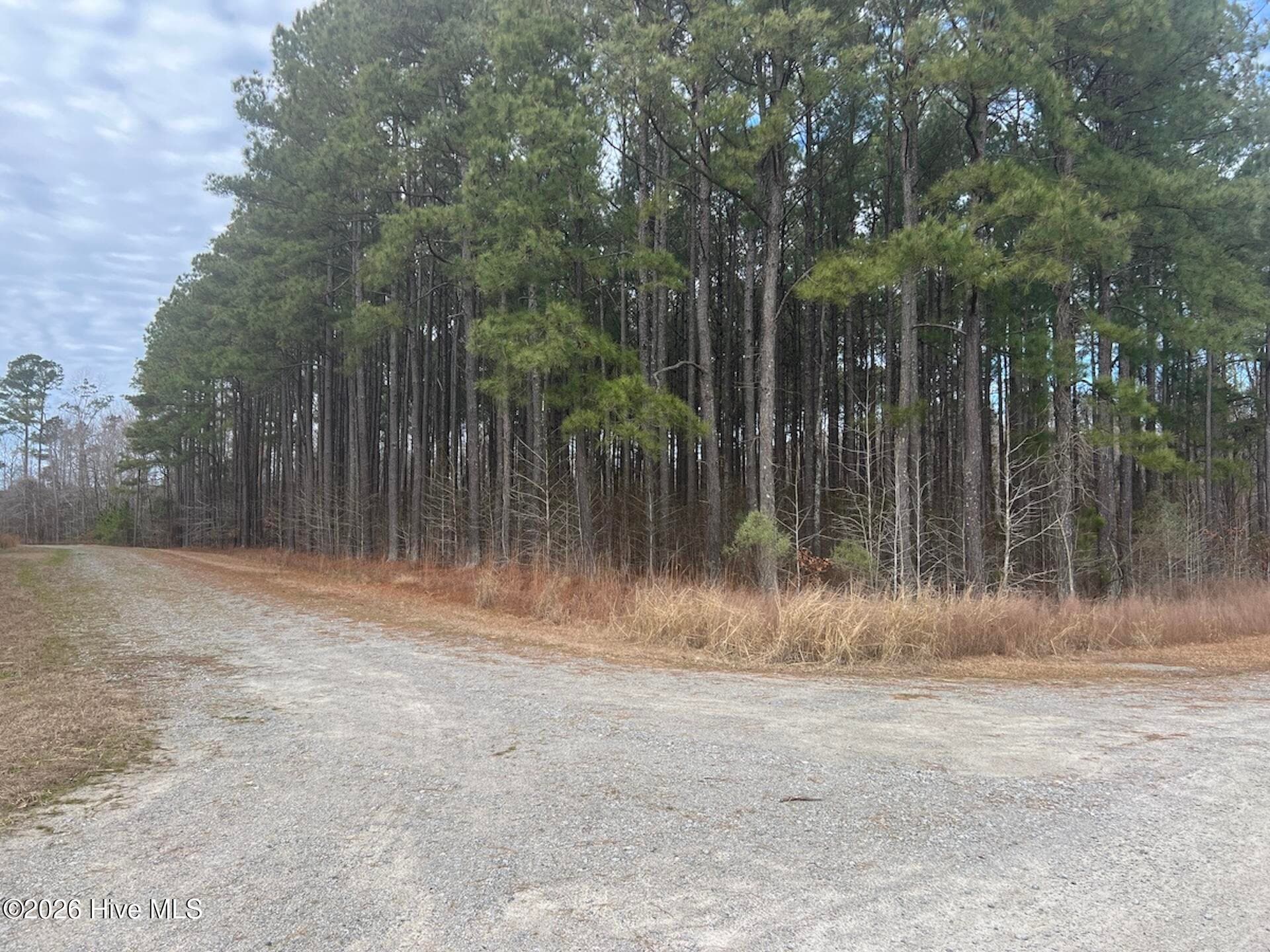 Residential Lot at 405 23 Batts Island Road, Edenton, NC 27932, photo 3 of 7