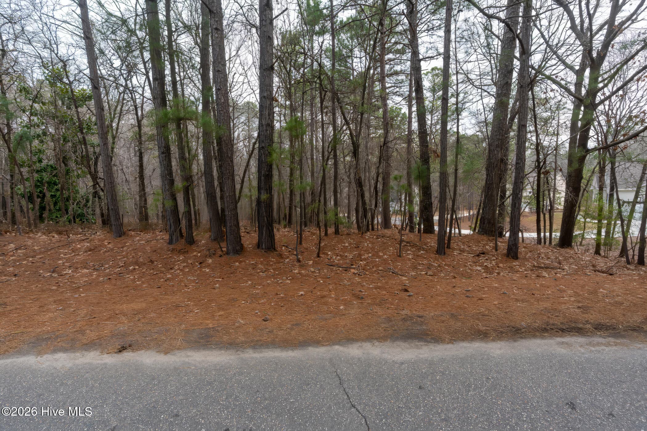 Residential Lot at 102 Ramsgate Court, Seven Lakes, NC 27376, photo 5 of 11