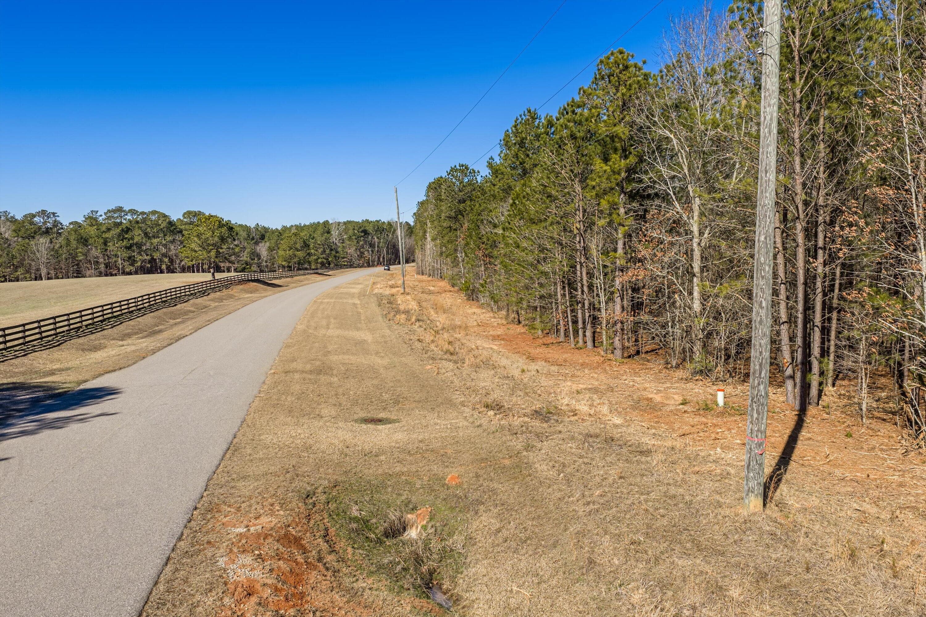 Residential Lot at 1036 116 Chennault Drive, Tignall, GA 30668, photo 9 of 18