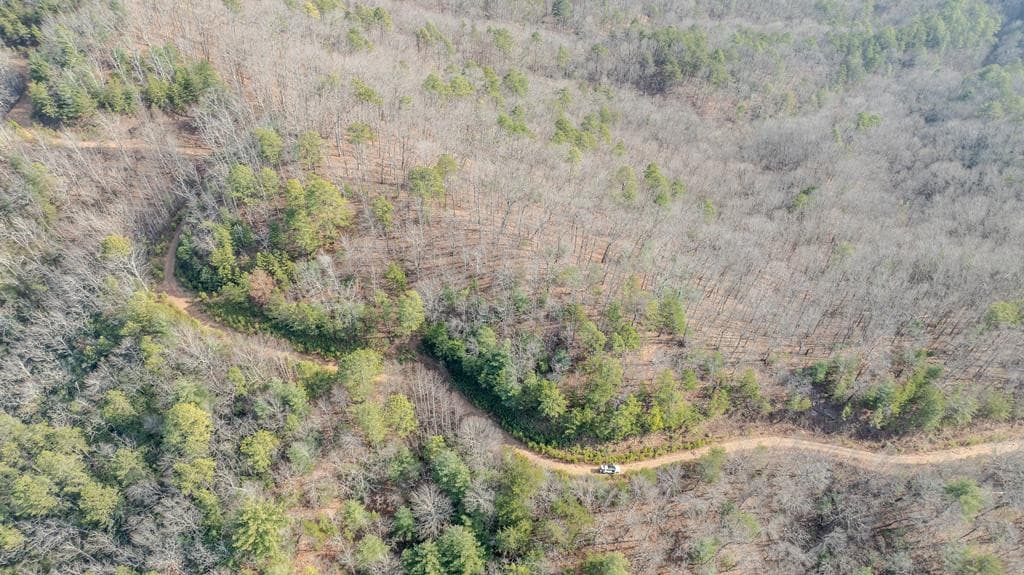 Land at 2.57 Scottie Mountain Circle, Murphy, NC 28906, photo 9 of 11