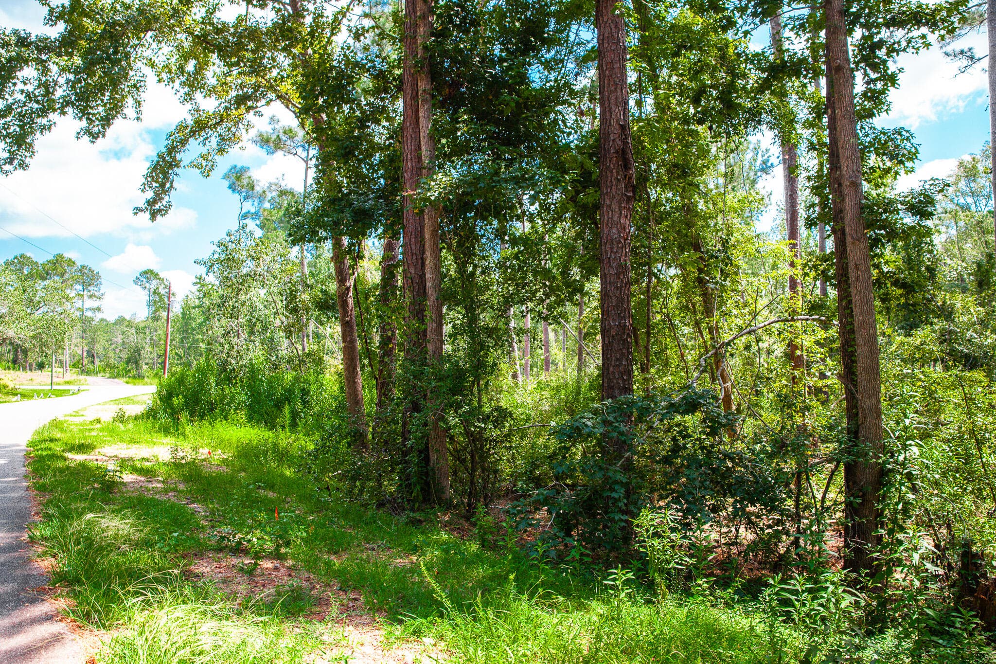 Undeveloped at Lot 4 Furey Drive, Clarks Hill, SC 29821, photo 3 of 9