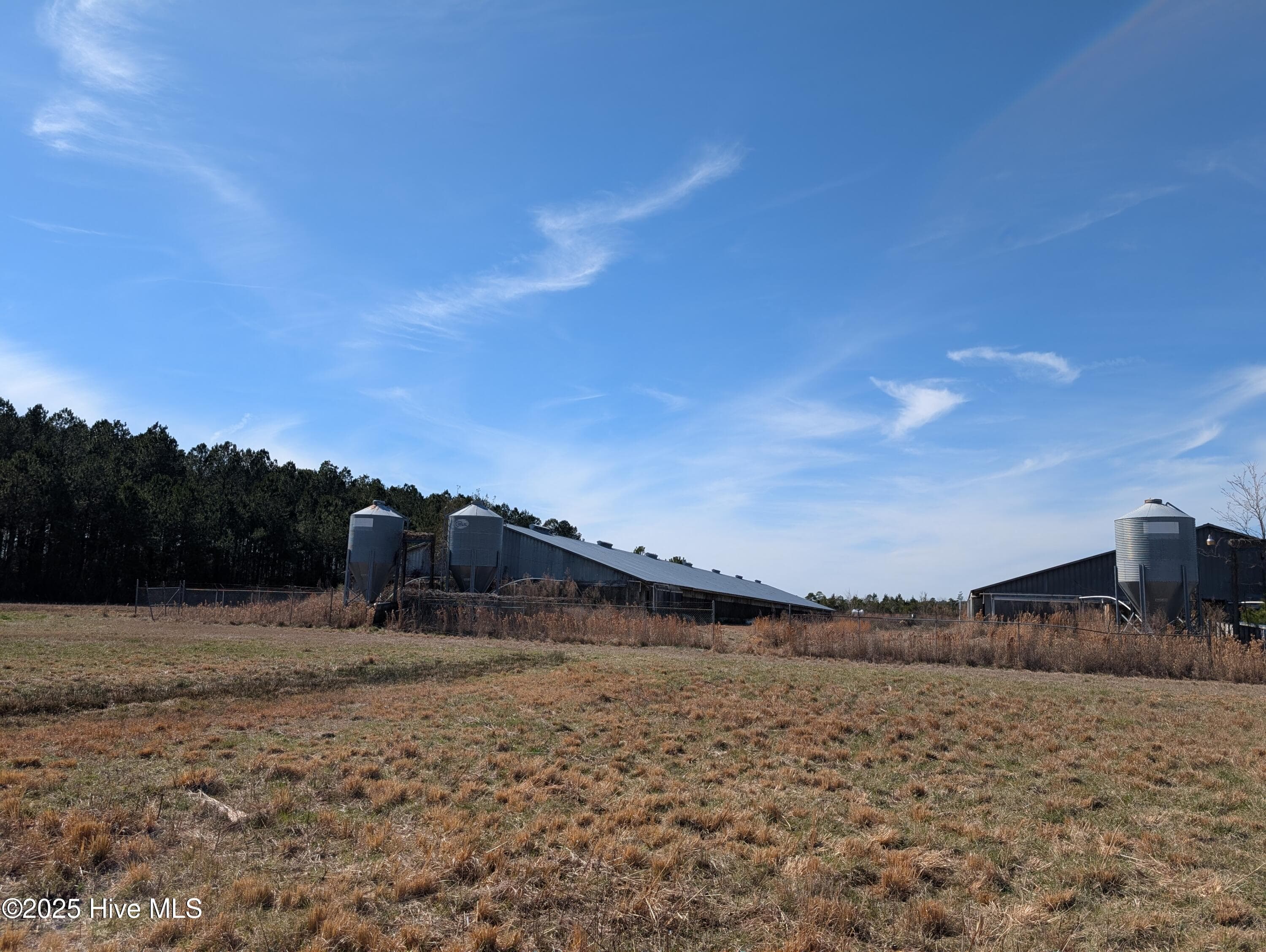 522 Plum Nearly Lane, Trenton, NC 28585